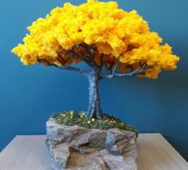 Ipê amarelo: árvore ipê pode ser ideal para decorar sua casa