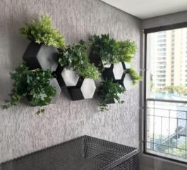 Melhores plantas para decorar sua sala de estar