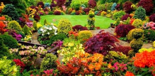 6 dicas para um jardim ficar melhor na primavera