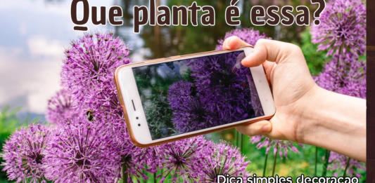 Aplicativos para identificar plantas pela camera do celular